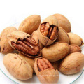 2021 New Batch Premium Roasted Pecan in Shell Nutritious Pecan Nuts
